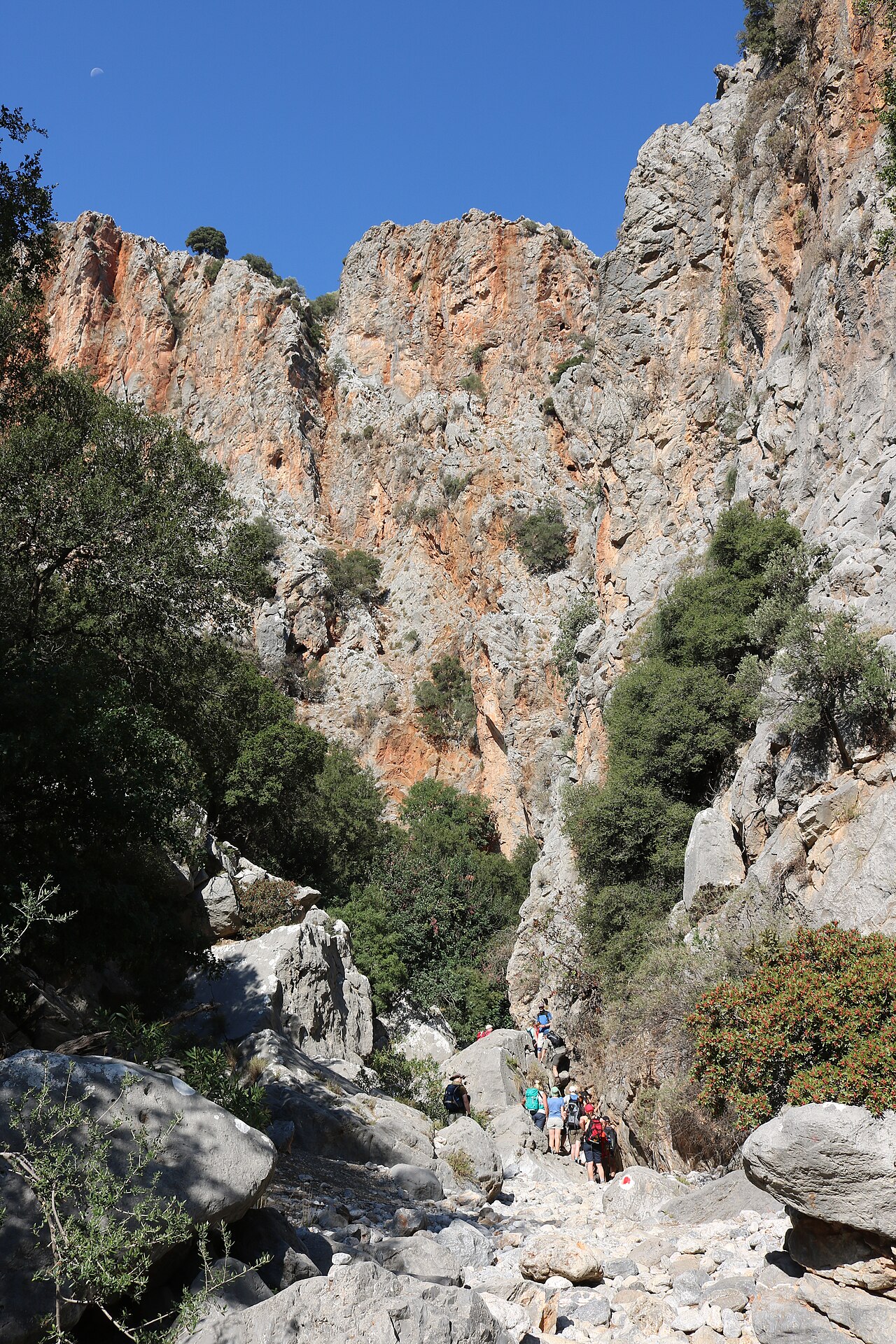 Kritsa Gorge