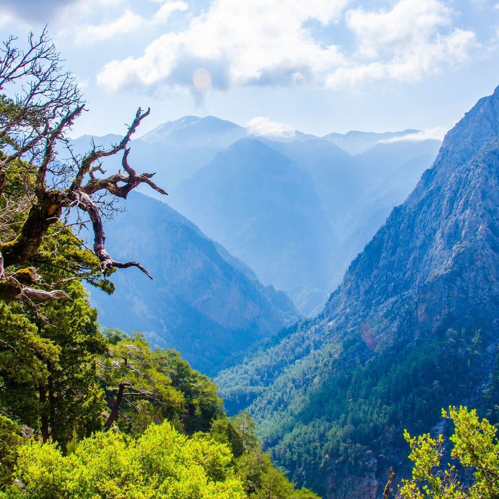 Samaria Gorge