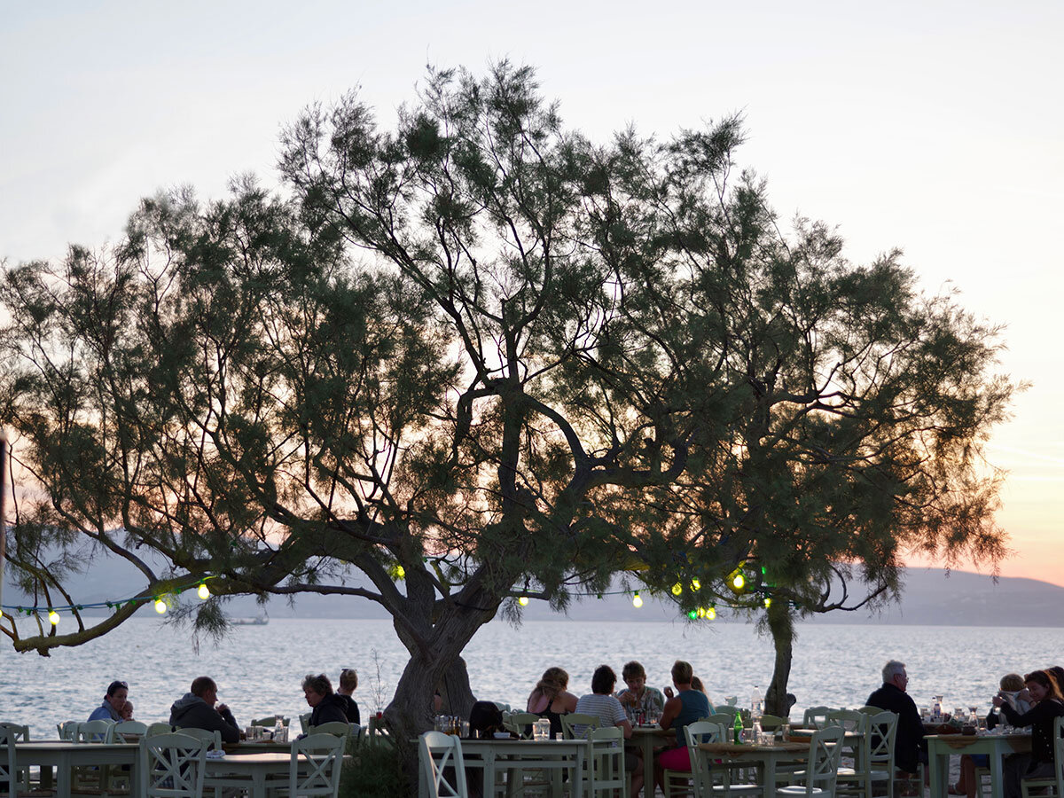 Paradiso Taverna